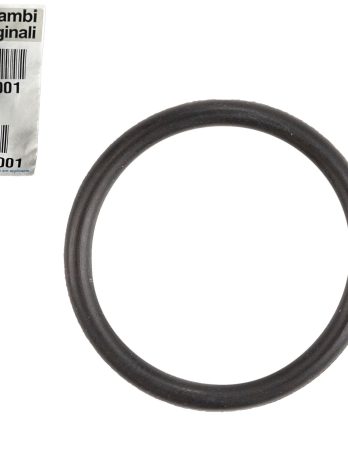Uszczelka O-Ring zaworu EGR FIAT Ducato 2.3 5801920151